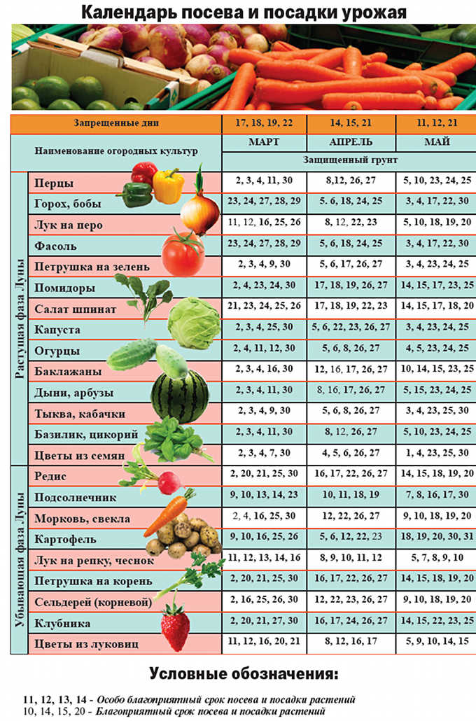 Посадка помидор календарь 2017